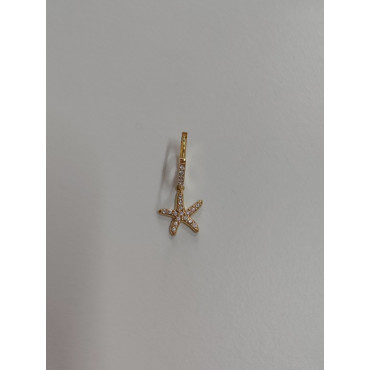 Pendiente estrella de mar...